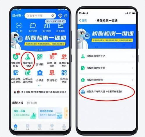 采核酸最新爆料信息查询,核酸检测背后的关键信息曝光